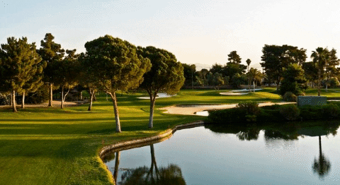 Las Vegas National, Kelly Are Eyewitnesses to History at State Senior Amateur Looms