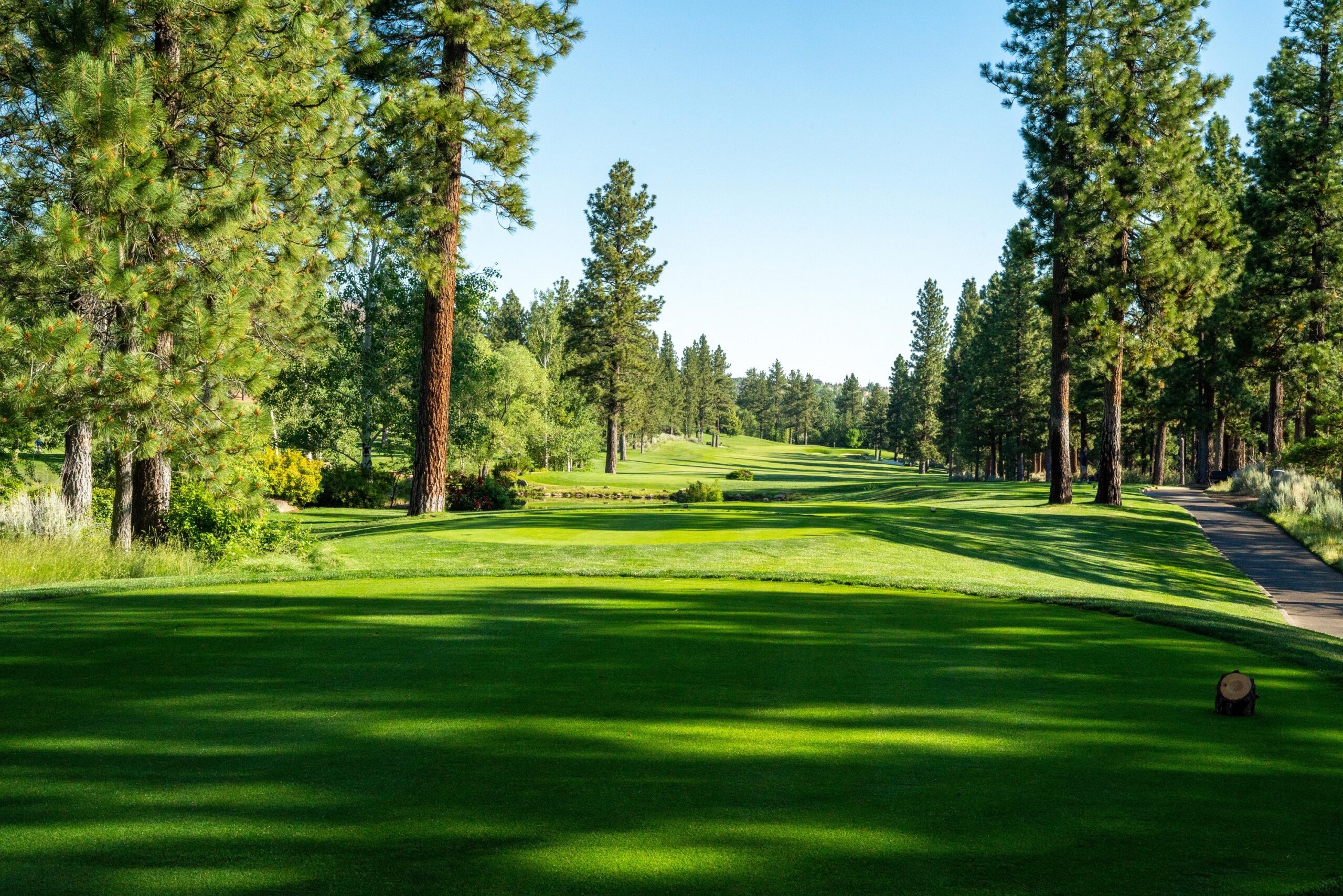 Shady tree-lined fairway