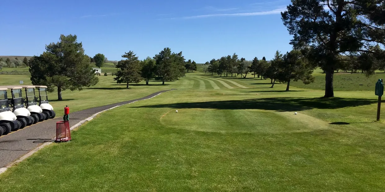 Coss, Morais, Bradley Earn 2024 NV State Net Amateur Golf Titles